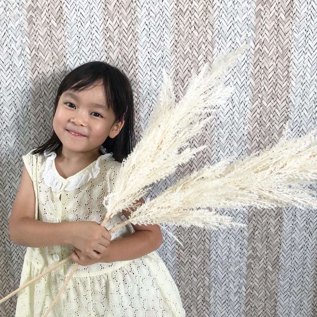 白いパンパスグラスS