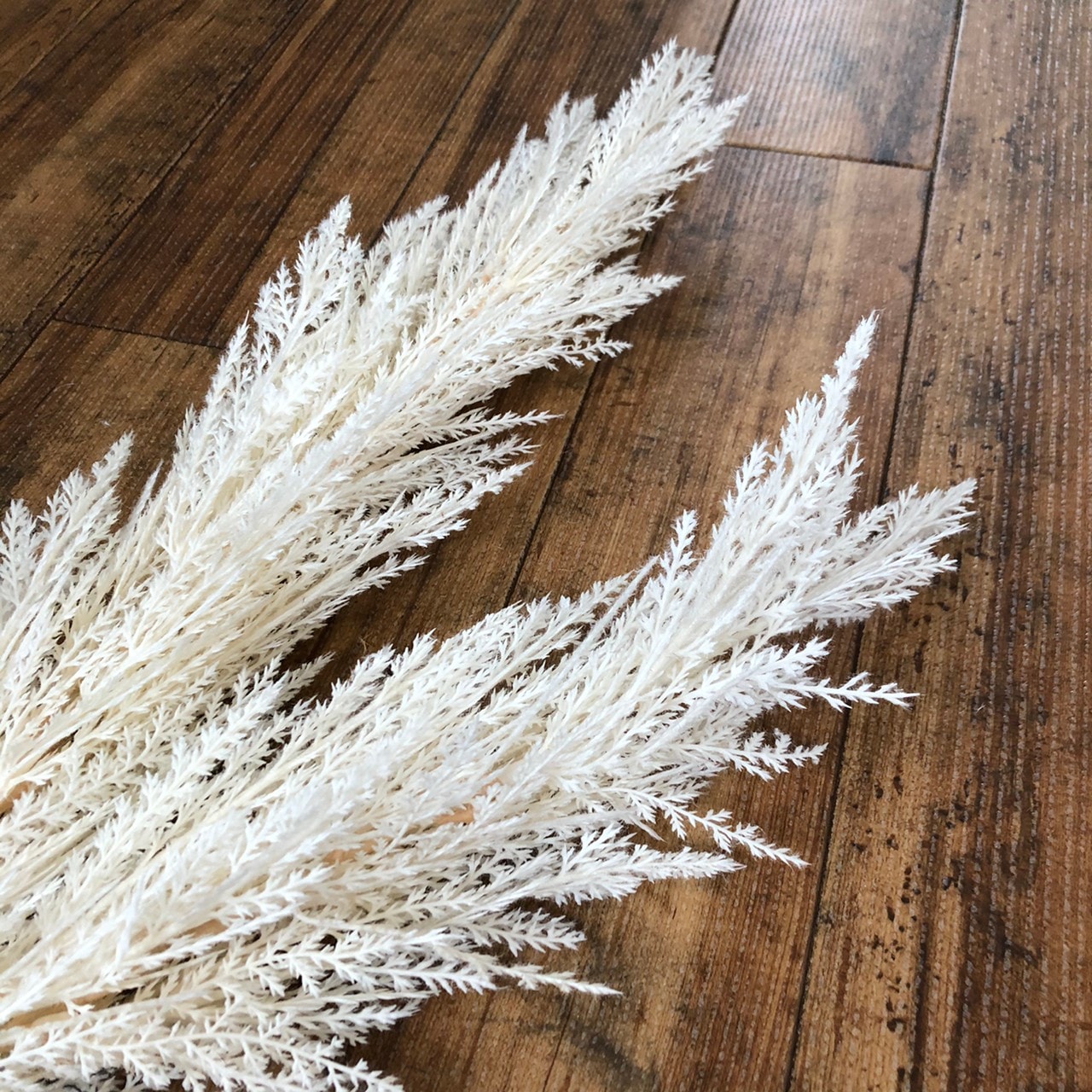 白いパンパスグラスS