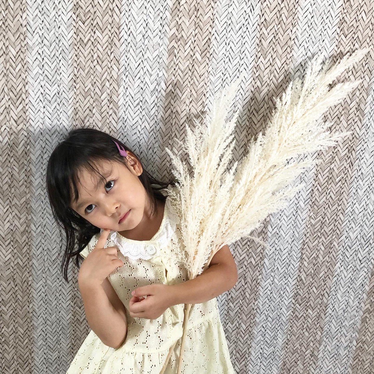 白いパンパスグラスS