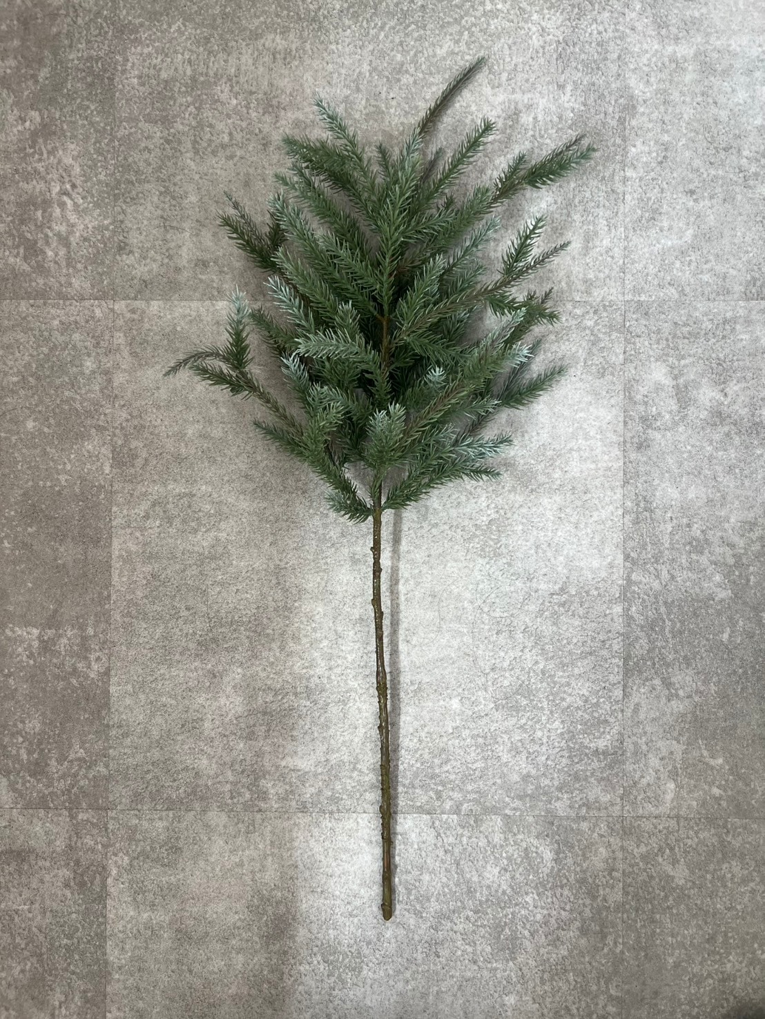 大人可愛いモミの木