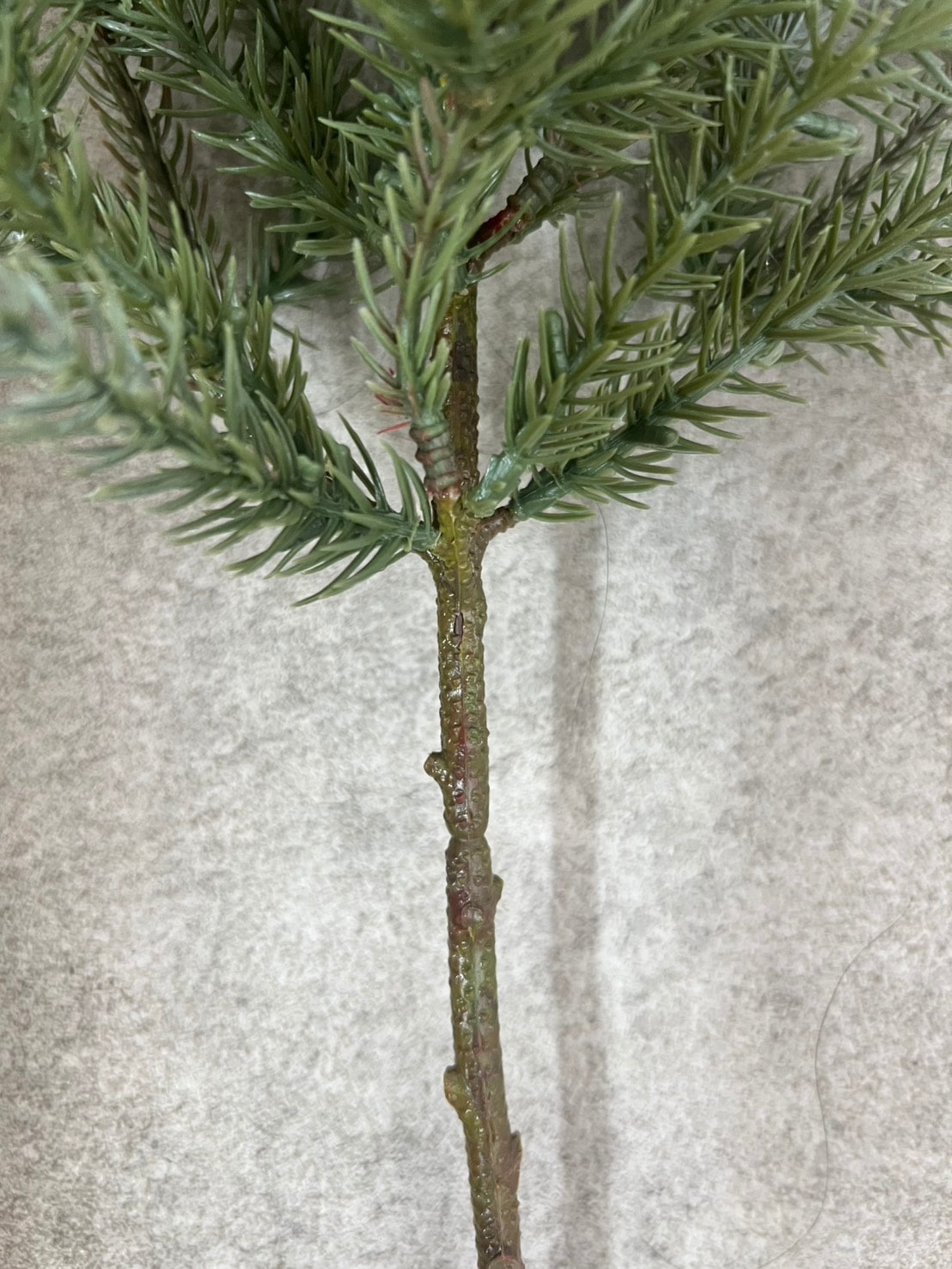 大人可愛いモミの木