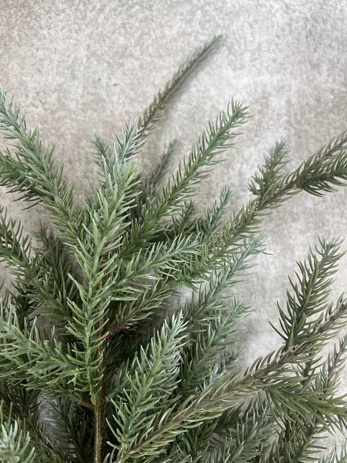 大人可愛いモミの木