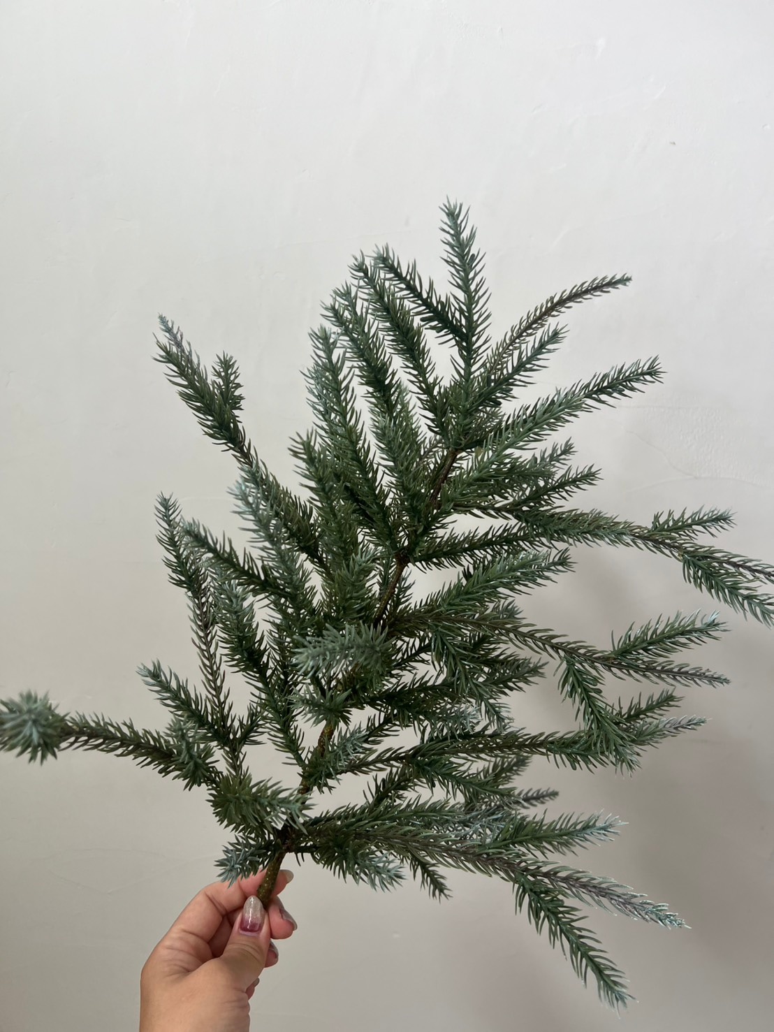 大人可愛いモミの木