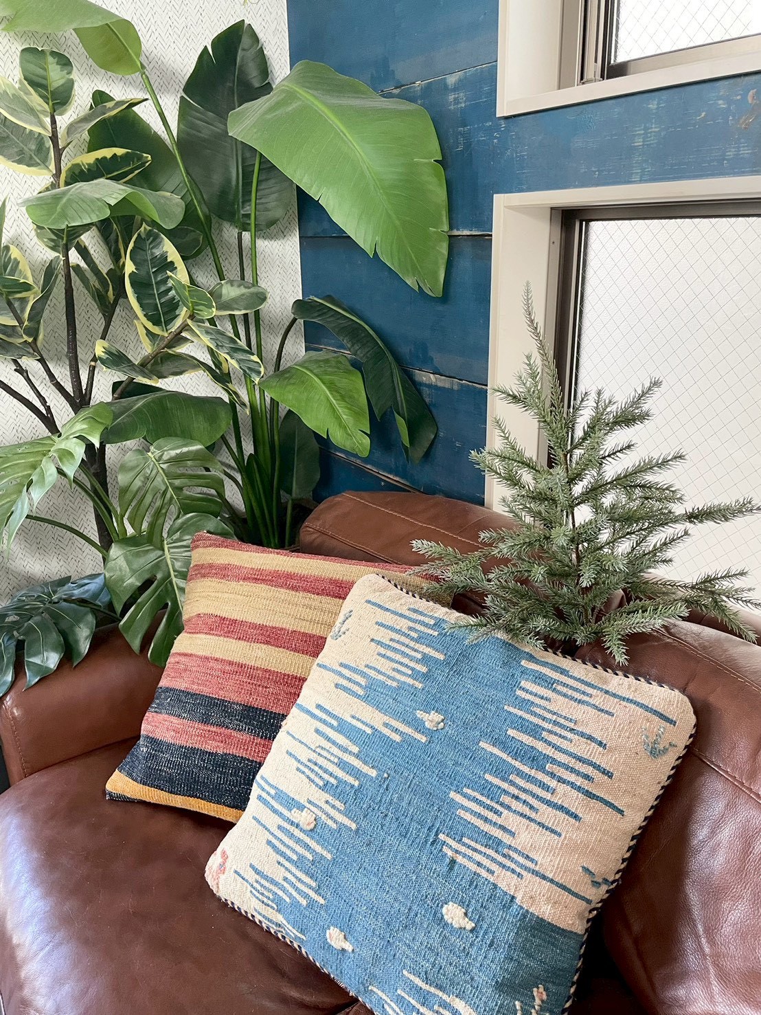 大人可愛いモミの木