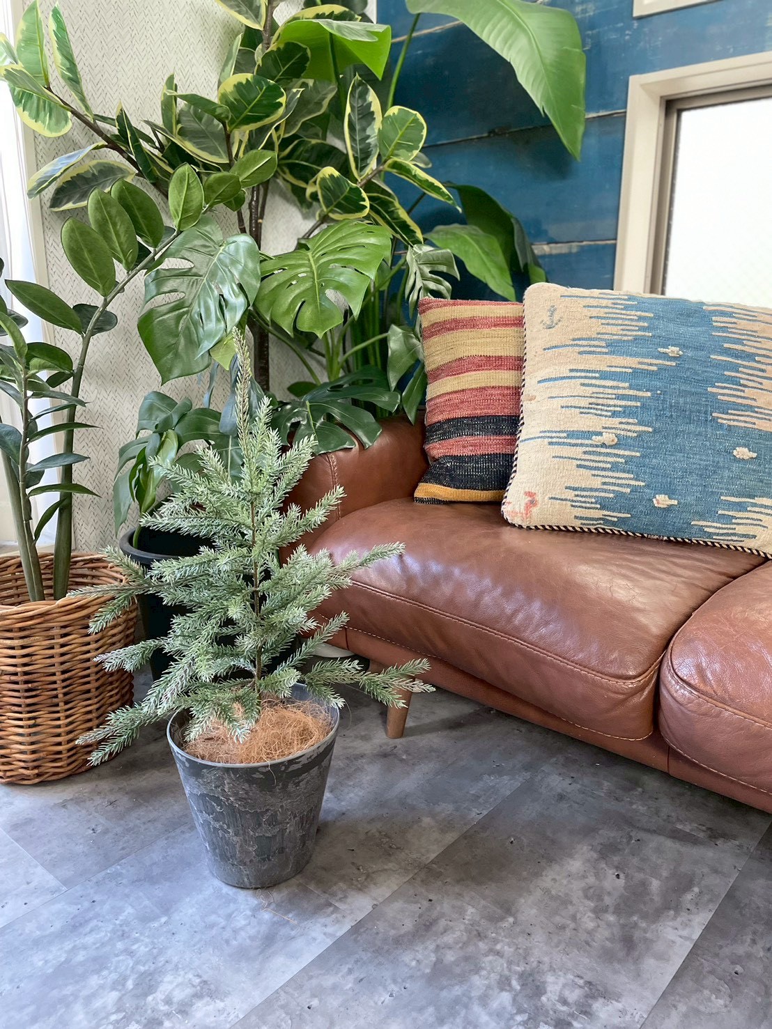 大人可愛いモミの木