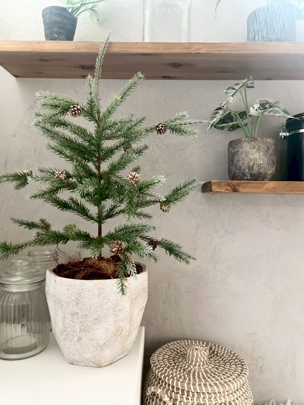 大人可愛いモミの木