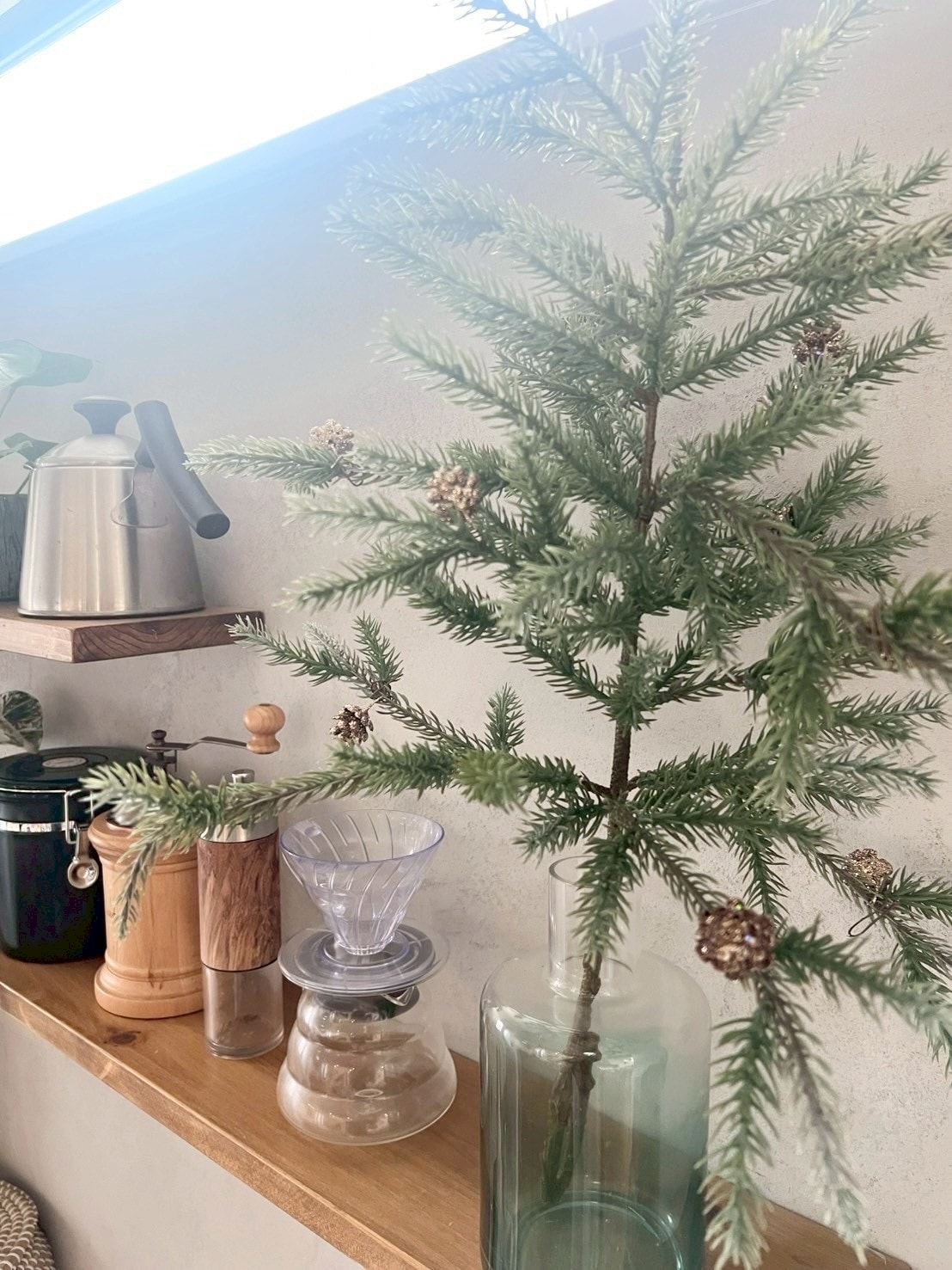 大人可愛いモミの木