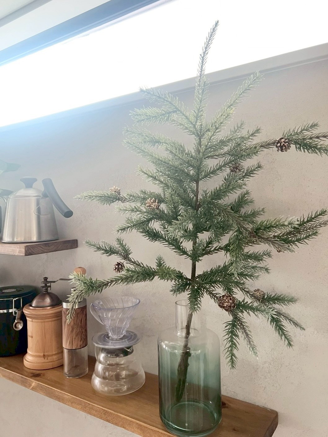 大人可愛いモミの木