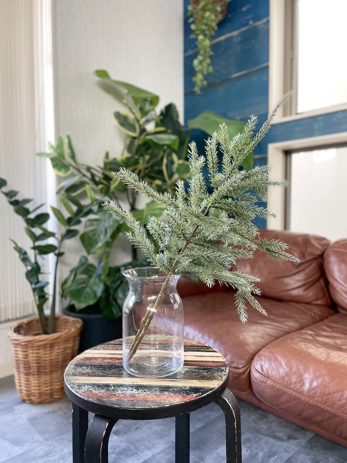 大人可愛いモミの木