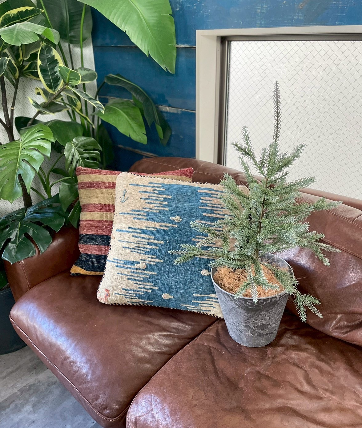 大人可愛いモミの木