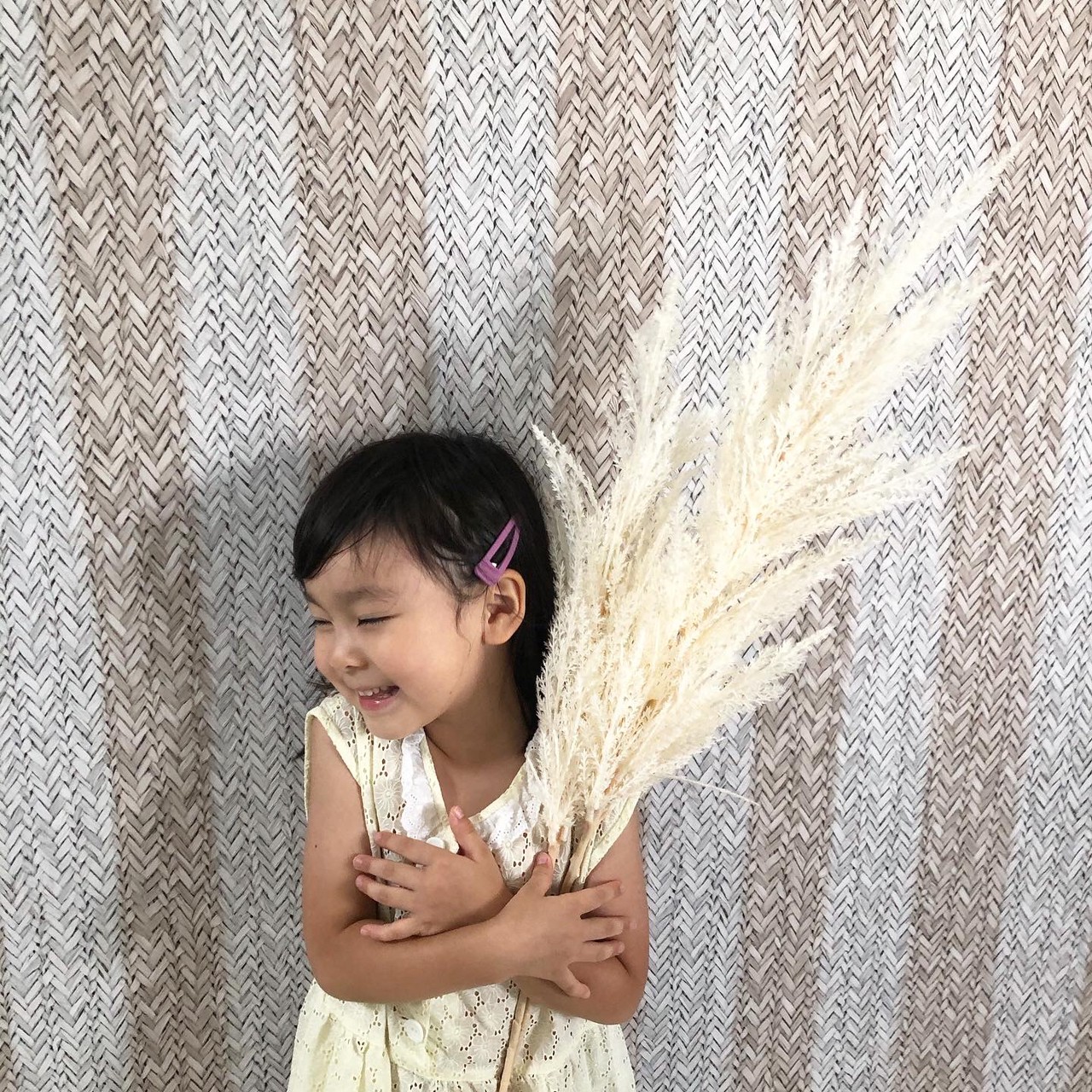 白いパンパスグラスL