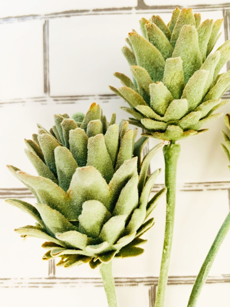 3つ子のアーティチョーク