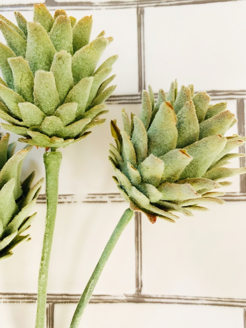 3つ子のアーティチョーク