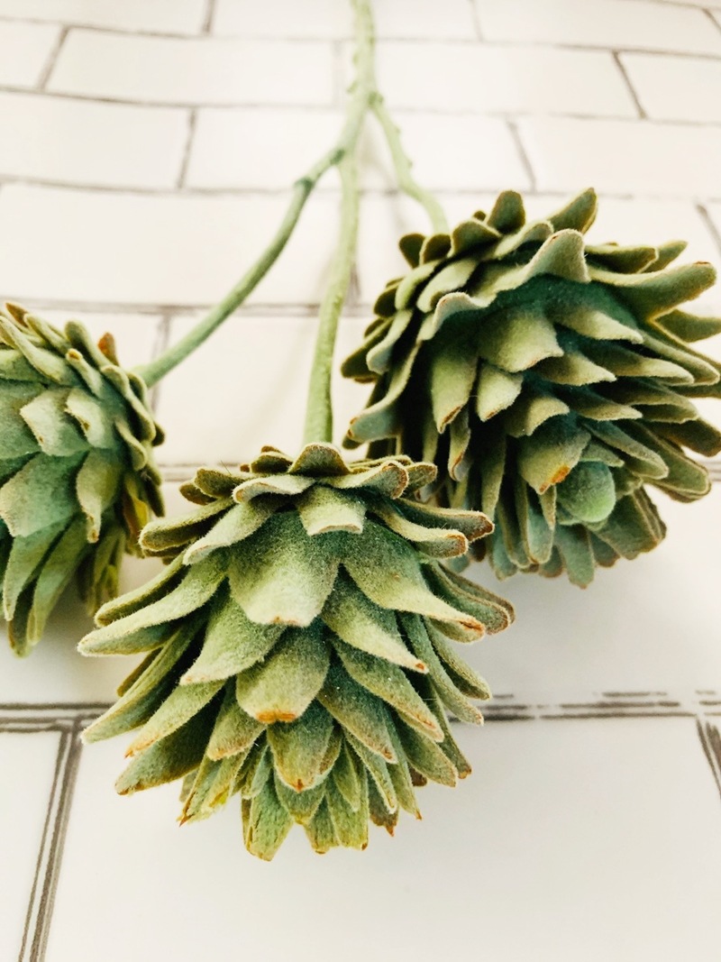 3つ子のアーティチョーク