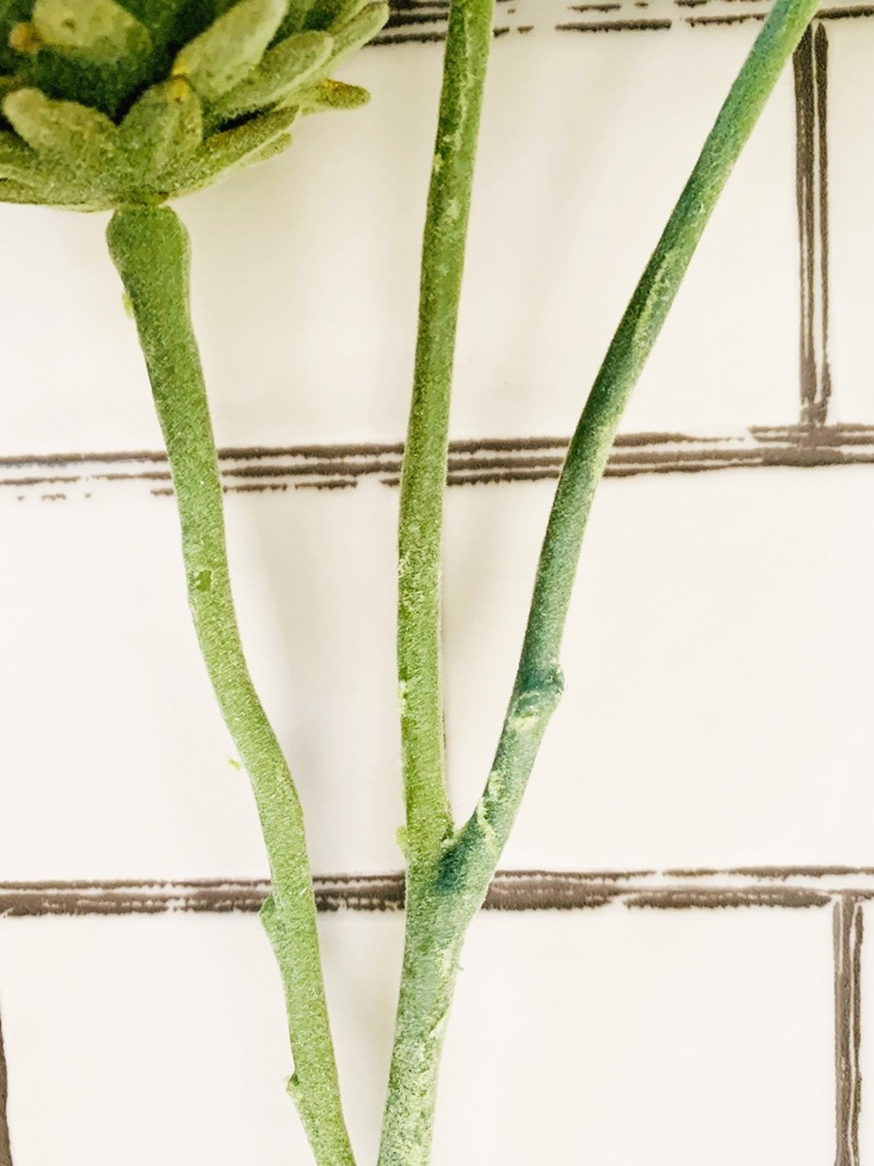 3つ子のアーティチョーク