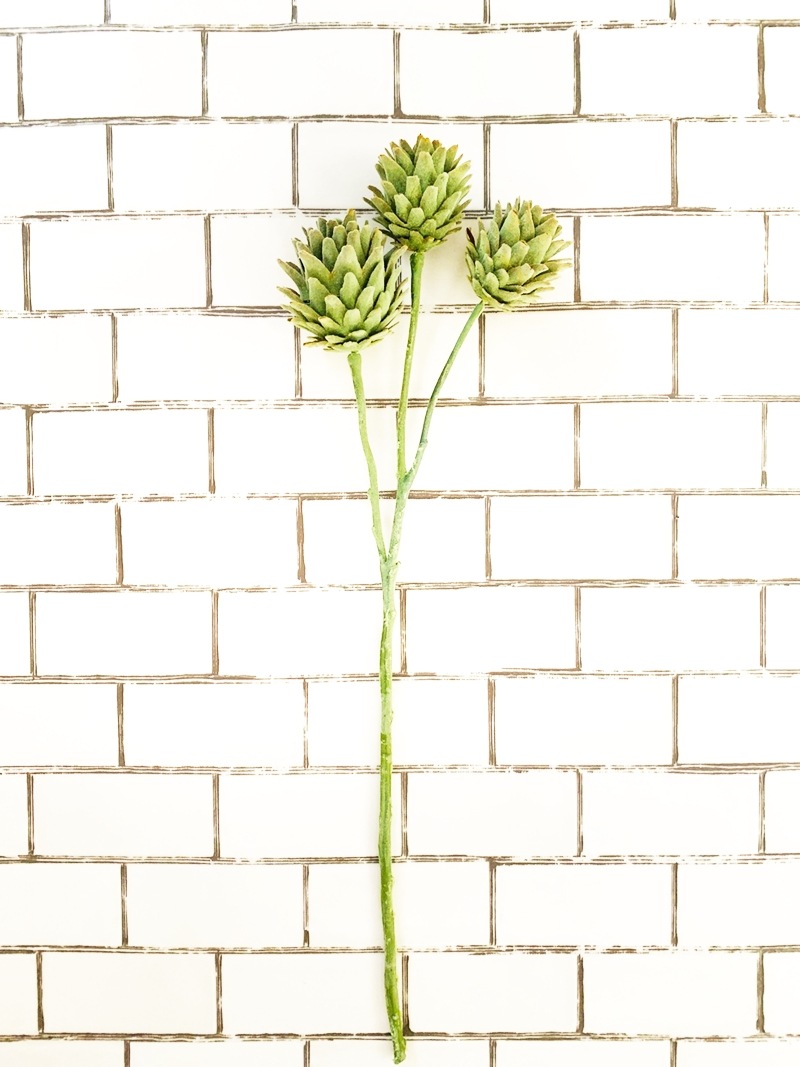 3つ子のアーティチョーク