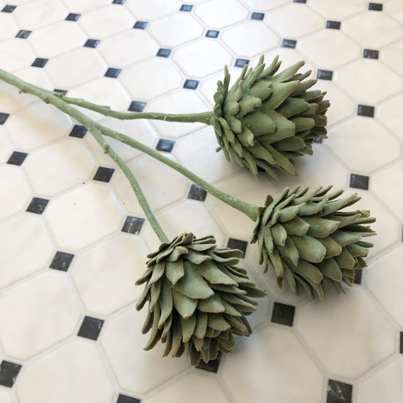 3つ子のアーティチョーク