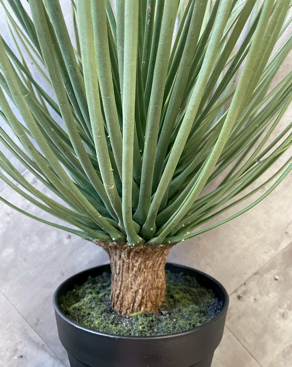 送料無料♪】ユッカ・ロストラータ|おしゃれなフェイクグリーン・人工