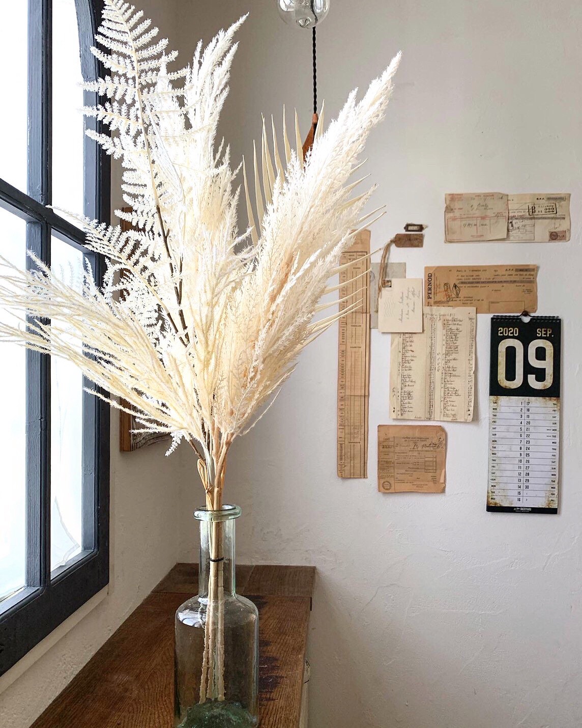 アスパラガスの白い葉っぱ