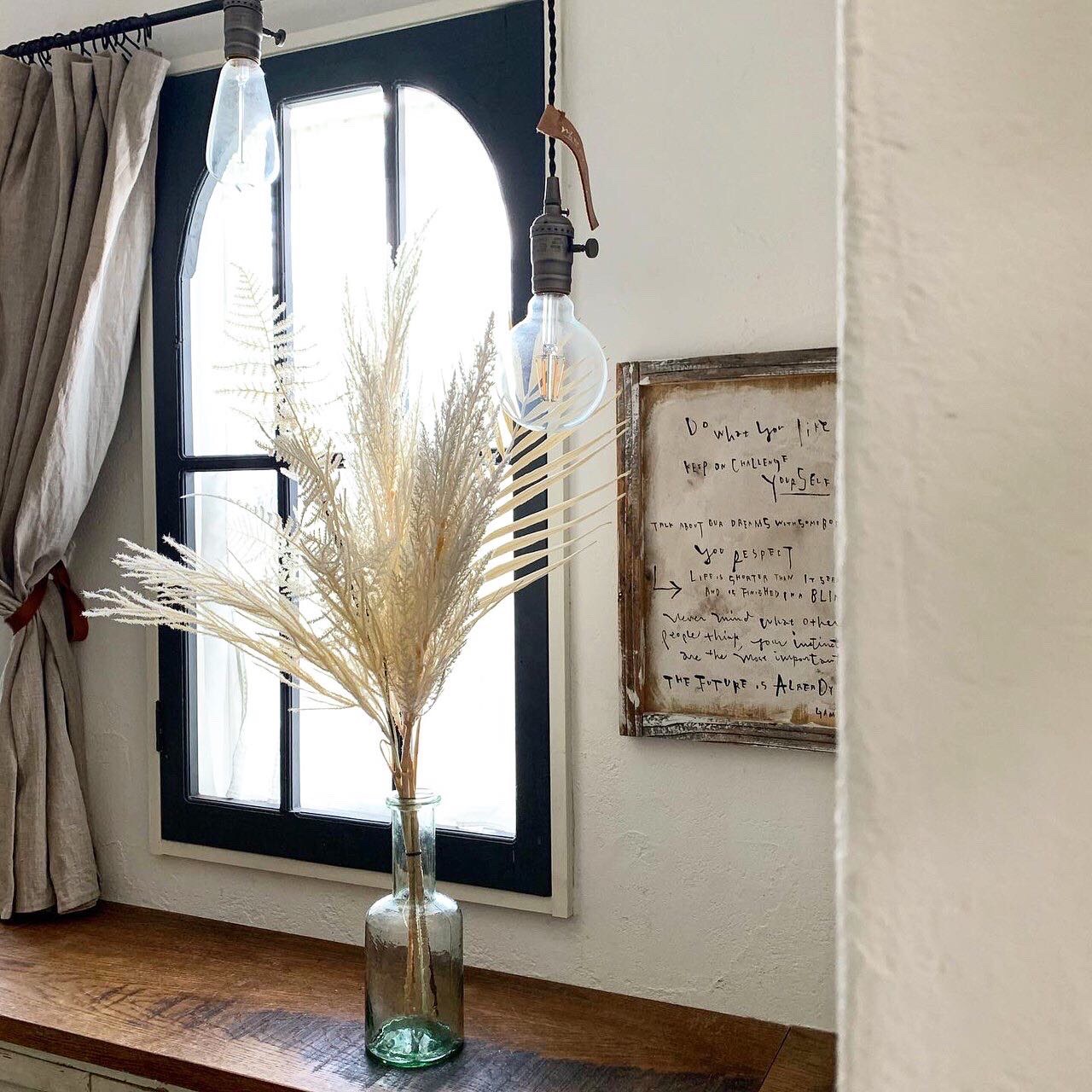 アスパラガスの白い葉っぱ