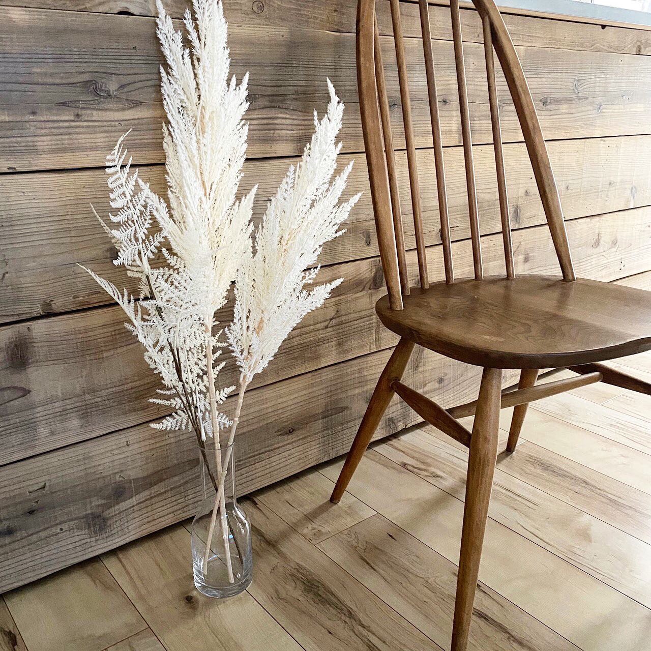 アスパラガスの白い葉っぱ