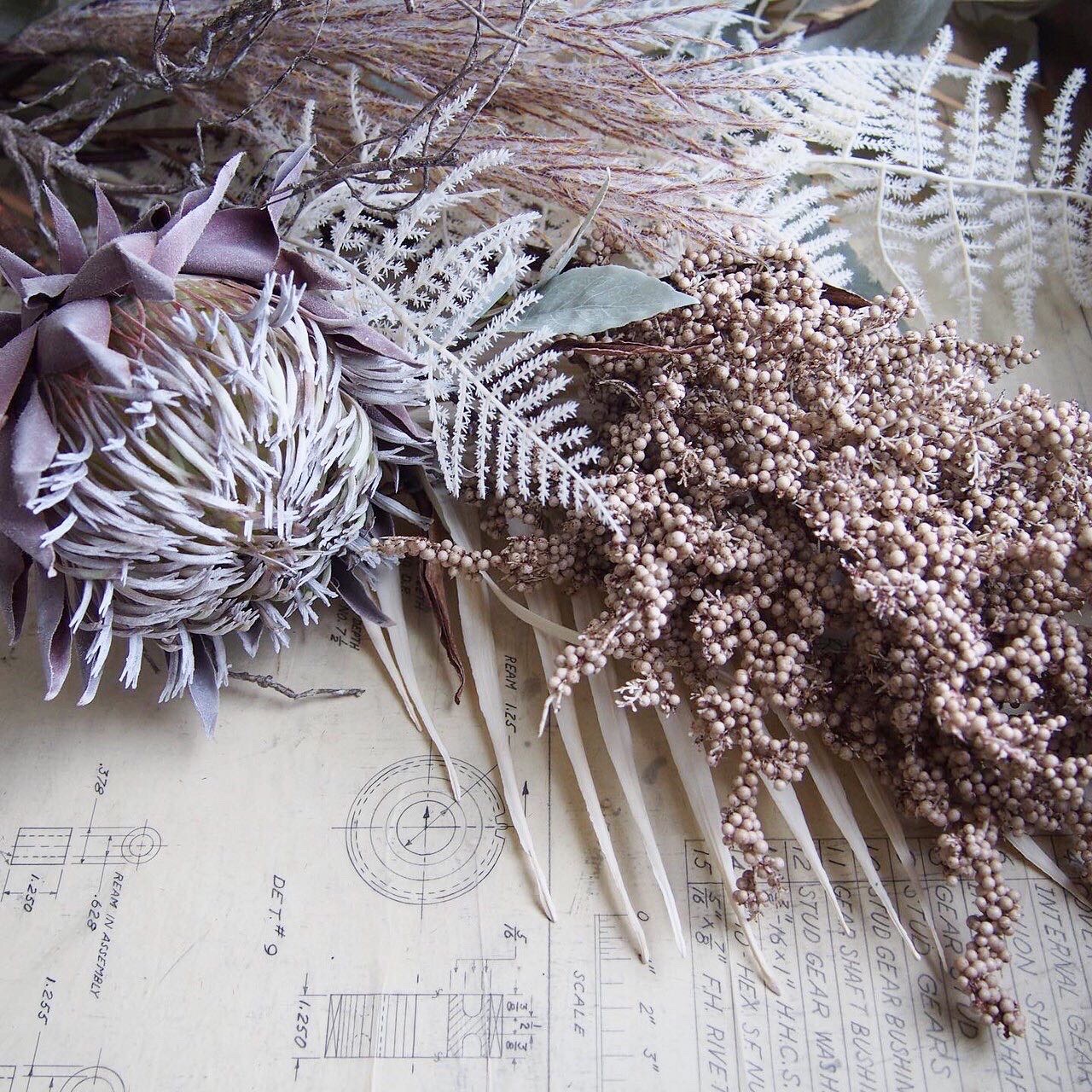 アスパラガスの白い葉っぱ