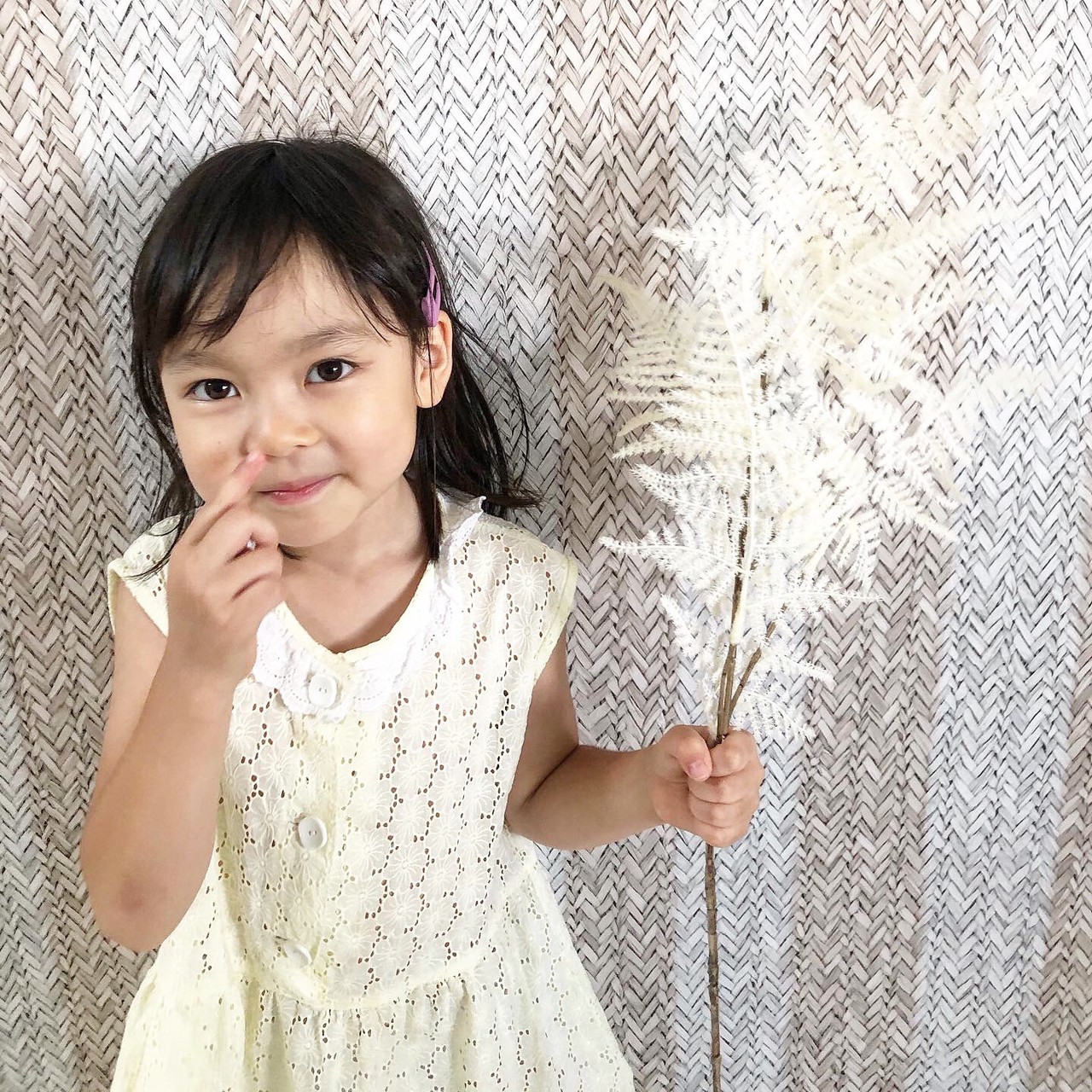 アスパラガスの白い葉っぱ