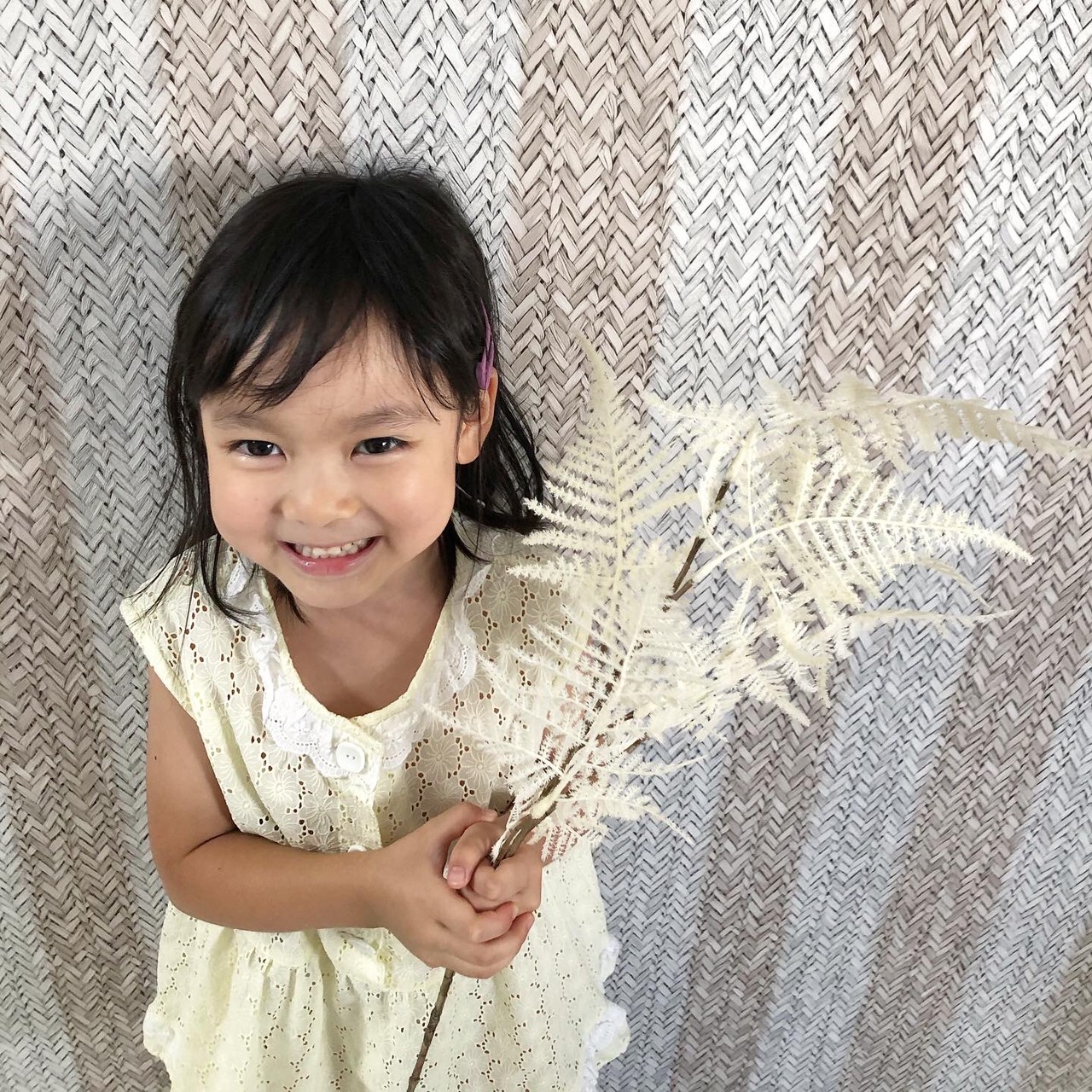 アスパラガスの白い葉っぱ