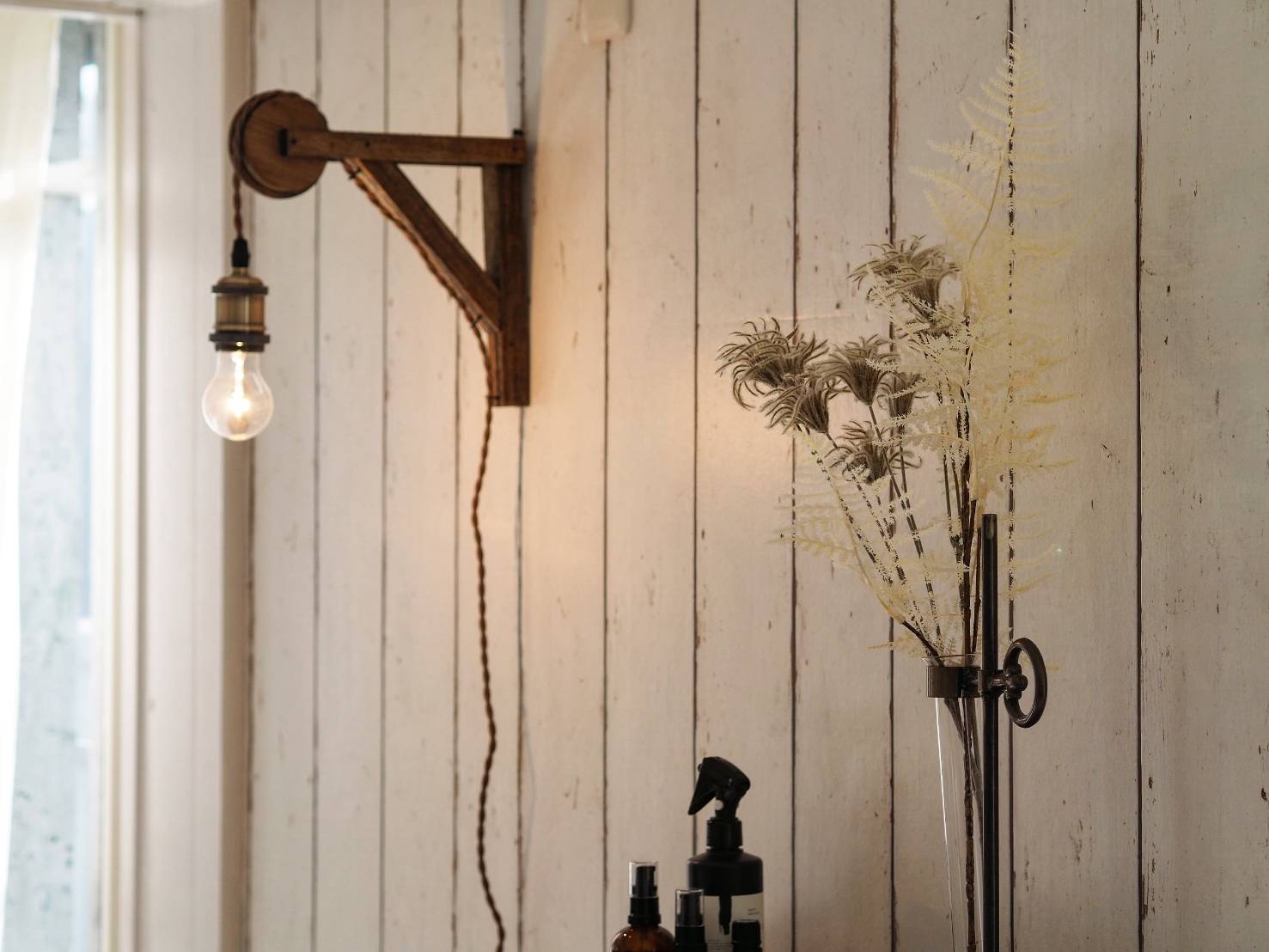 アスパラガスの白い葉っぱ