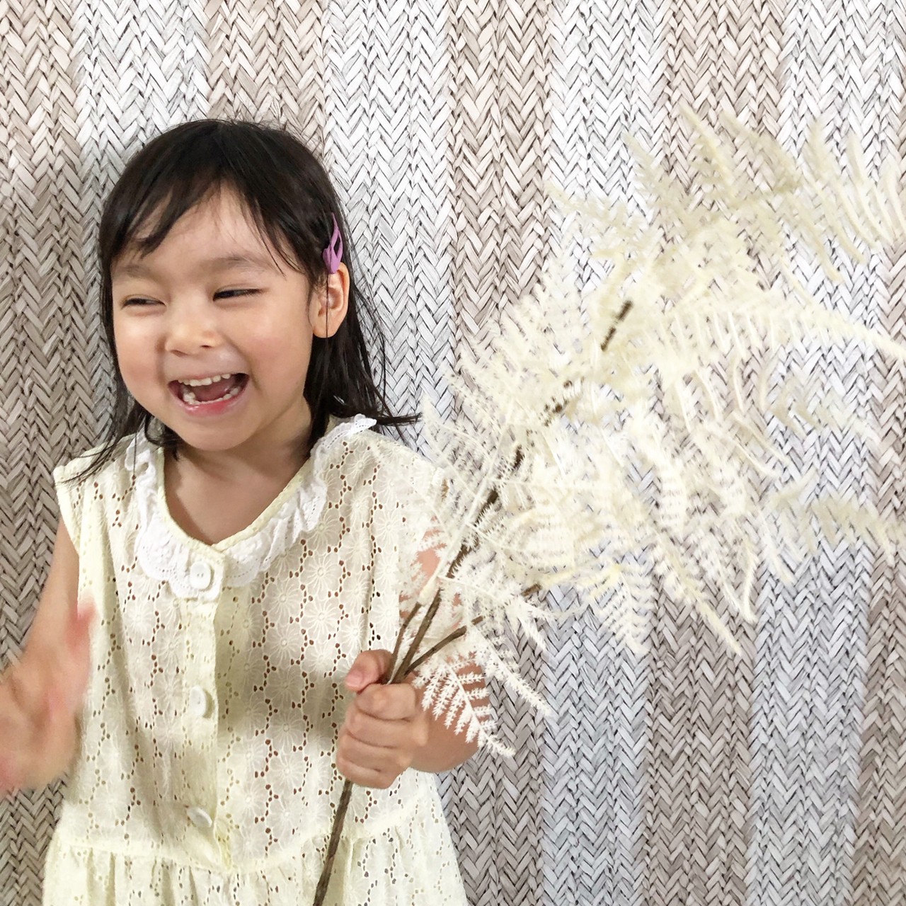 アスパラガスの白い葉っぱ