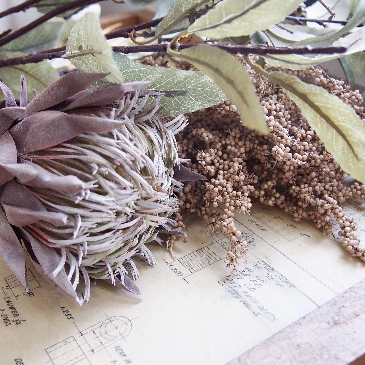 カサカサつぶつぶ