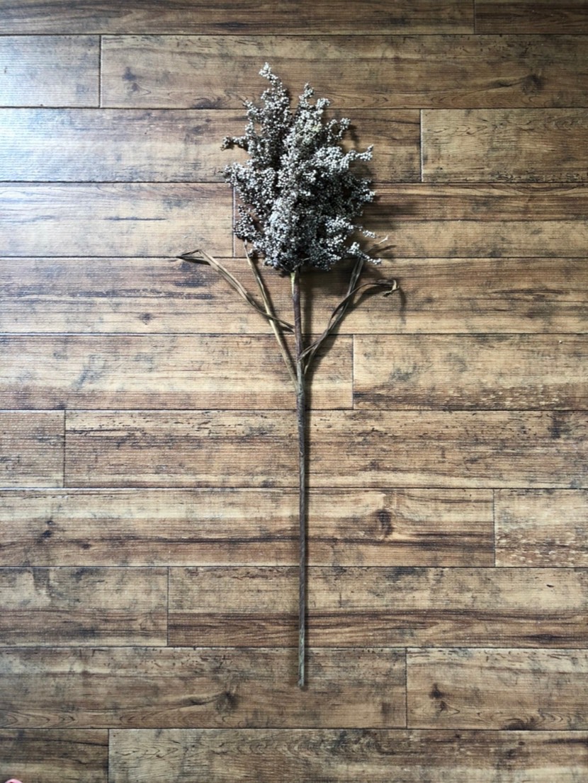 カサカサつぶつぶ