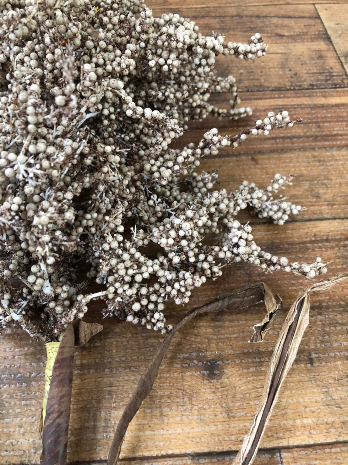 カサカサつぶつぶ