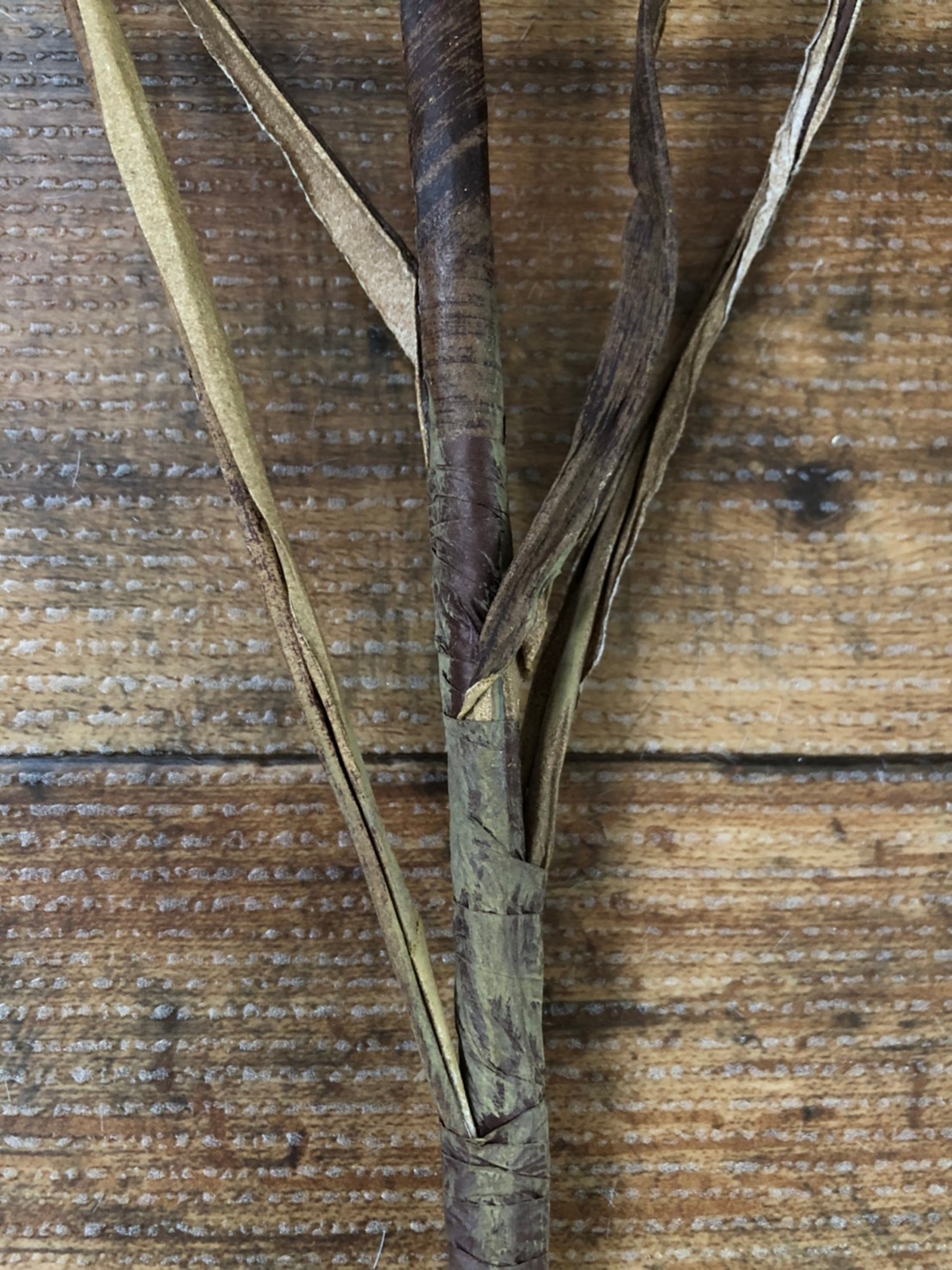 カサカサつぶつぶ