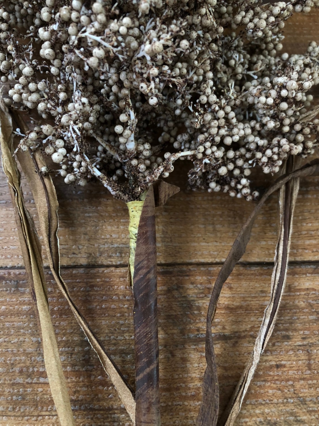 カサカサつぶつぶ