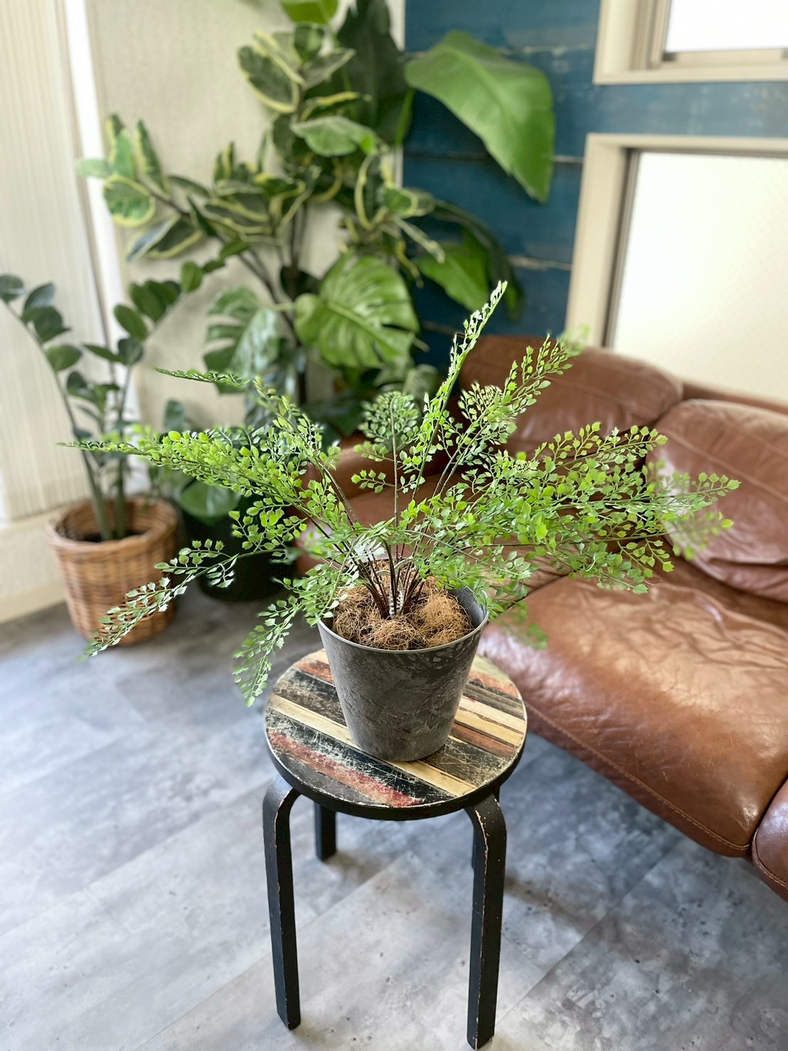 送料無料♪】ぐるっと360度アジアンタム|おしゃれなフェイクグリーン