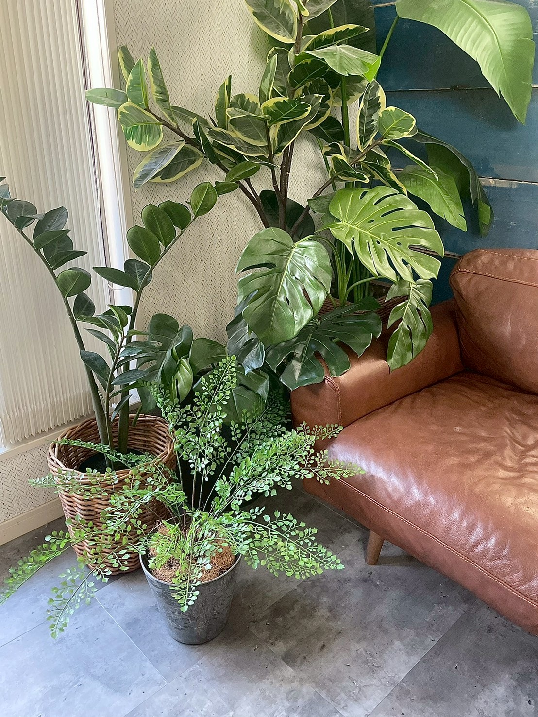 【送料無料♪】ぐるっと360度アジアンタム