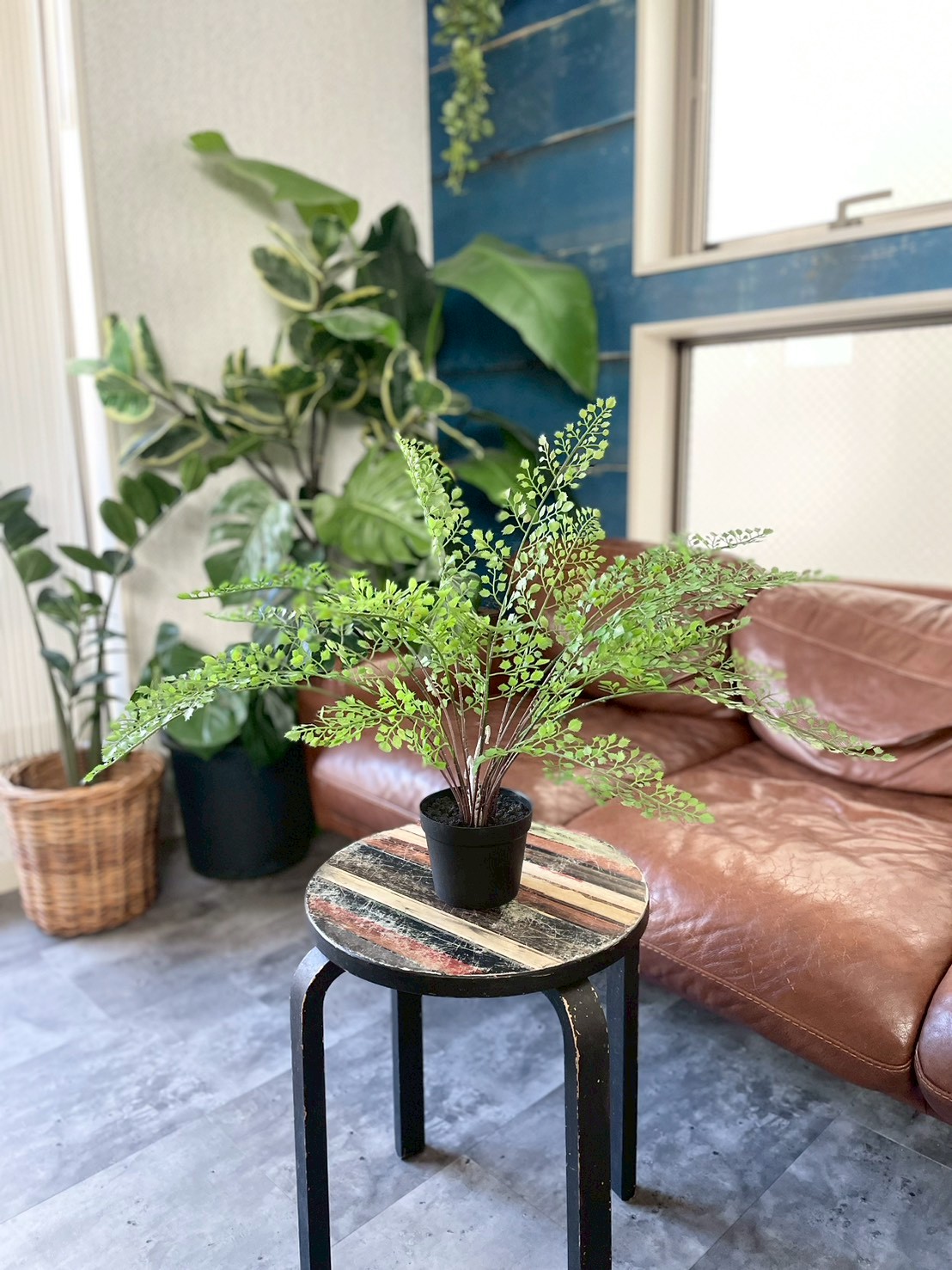 【送料無料♪】ぐるっと360度アジアンタム