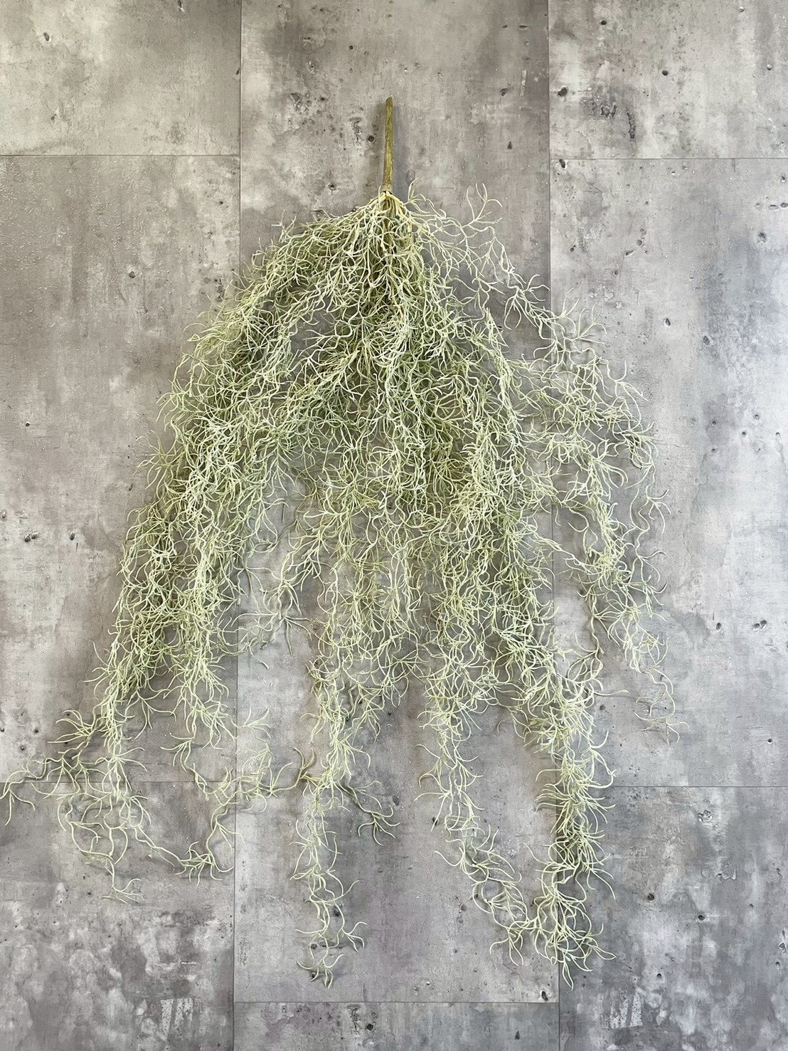 もふモシャモス