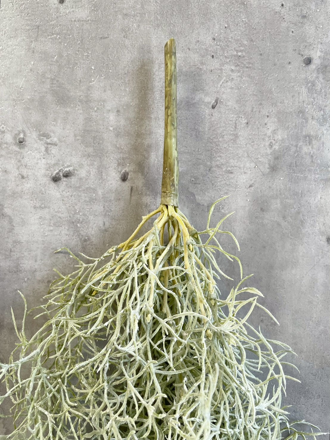 もふモシャモス