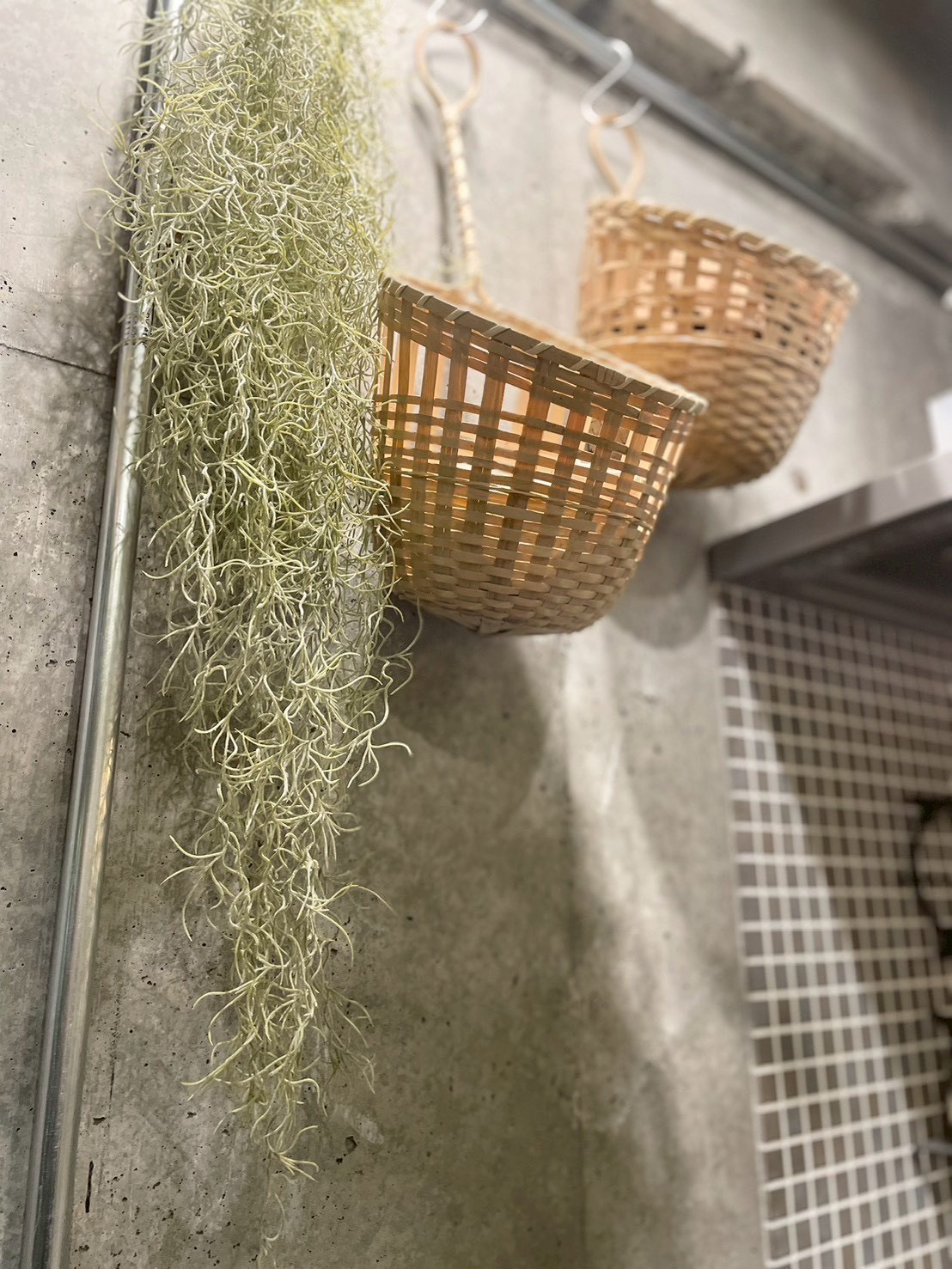 もふモシャモス