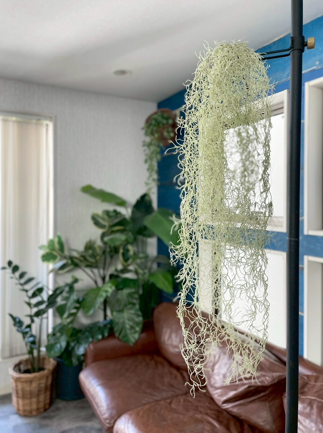 もふモシャモス