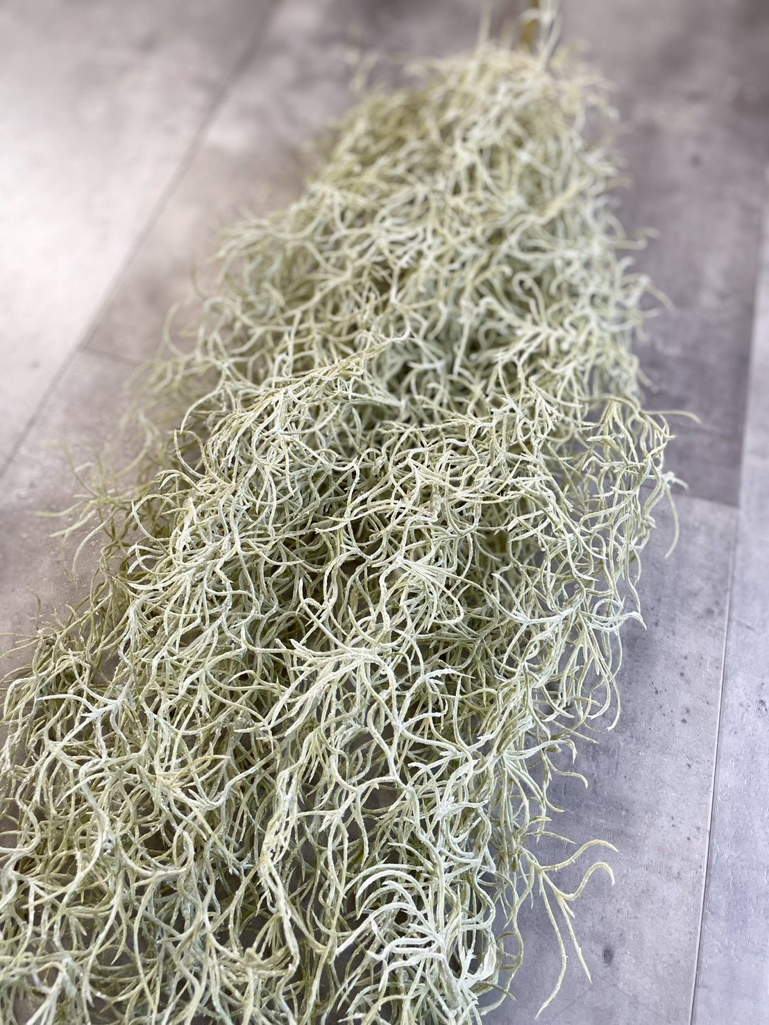 もふモシャモス