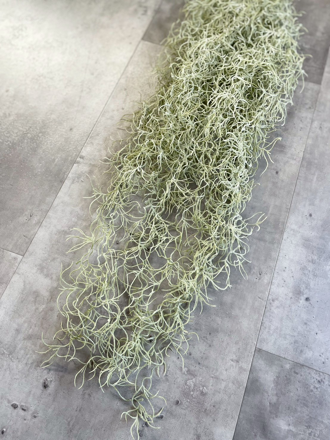 もふモシャモス