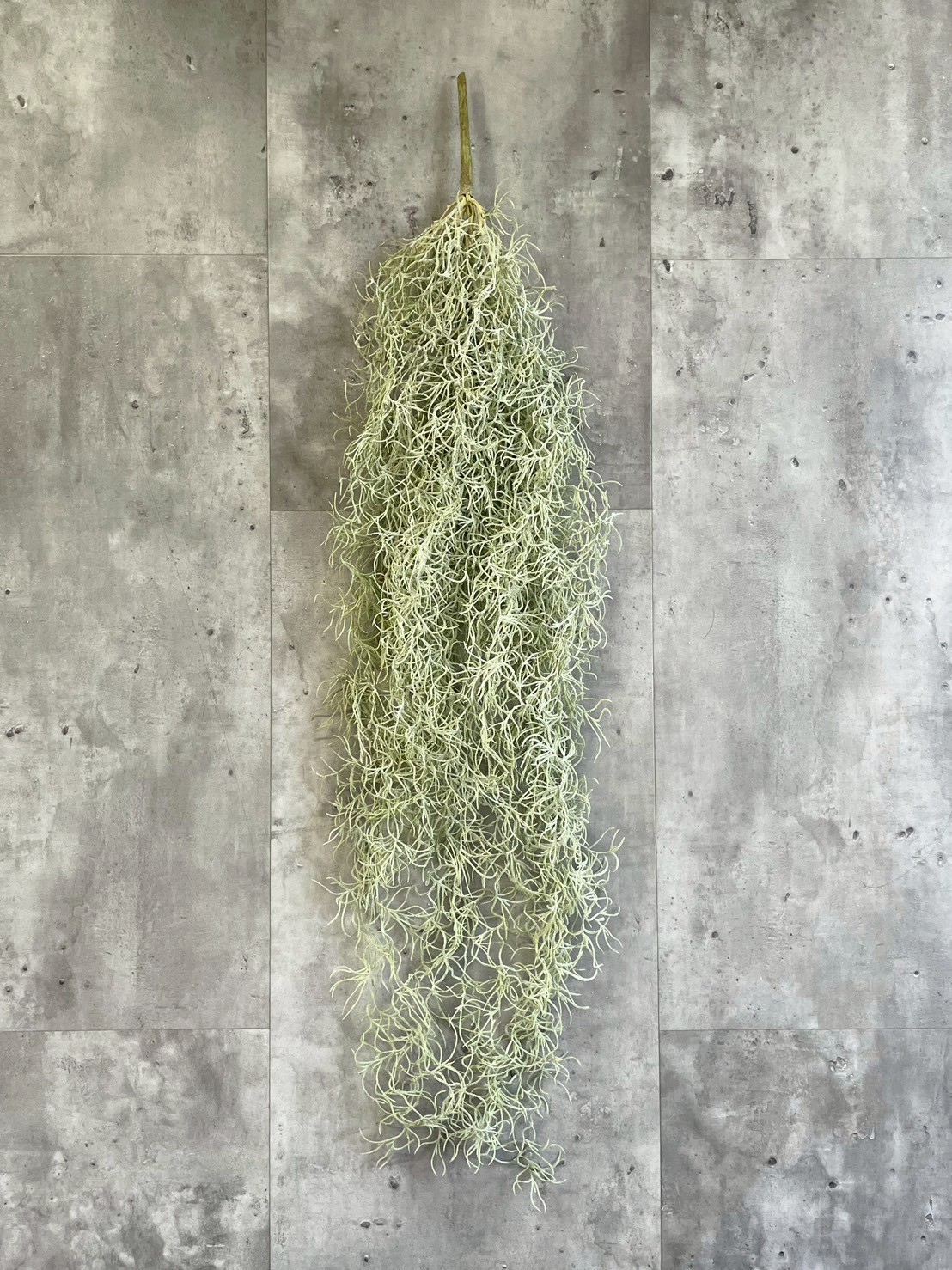 もふモシャモス