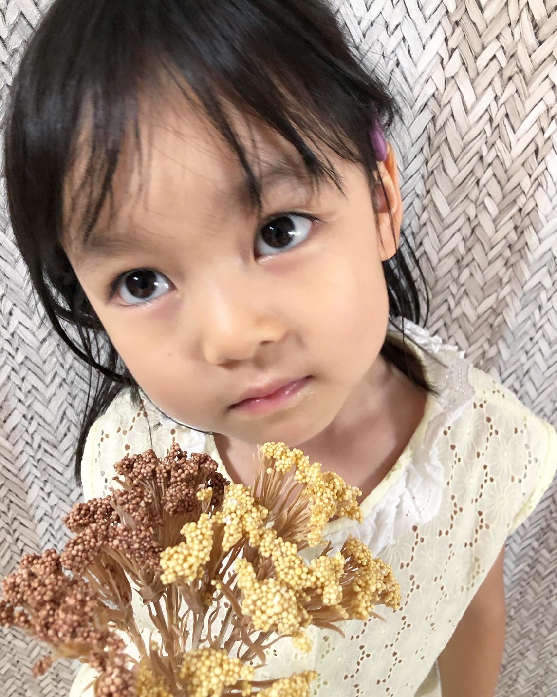 ライスフラワー