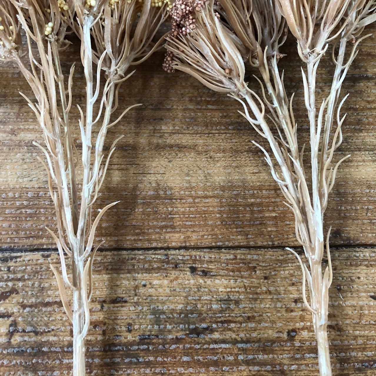 ライスフラワー