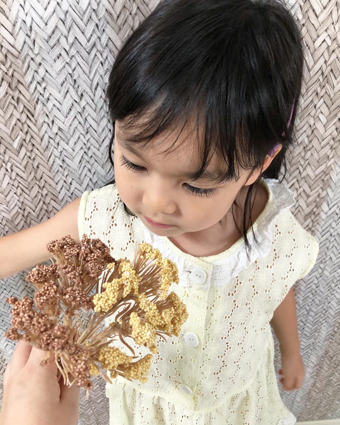 ライスフラワー