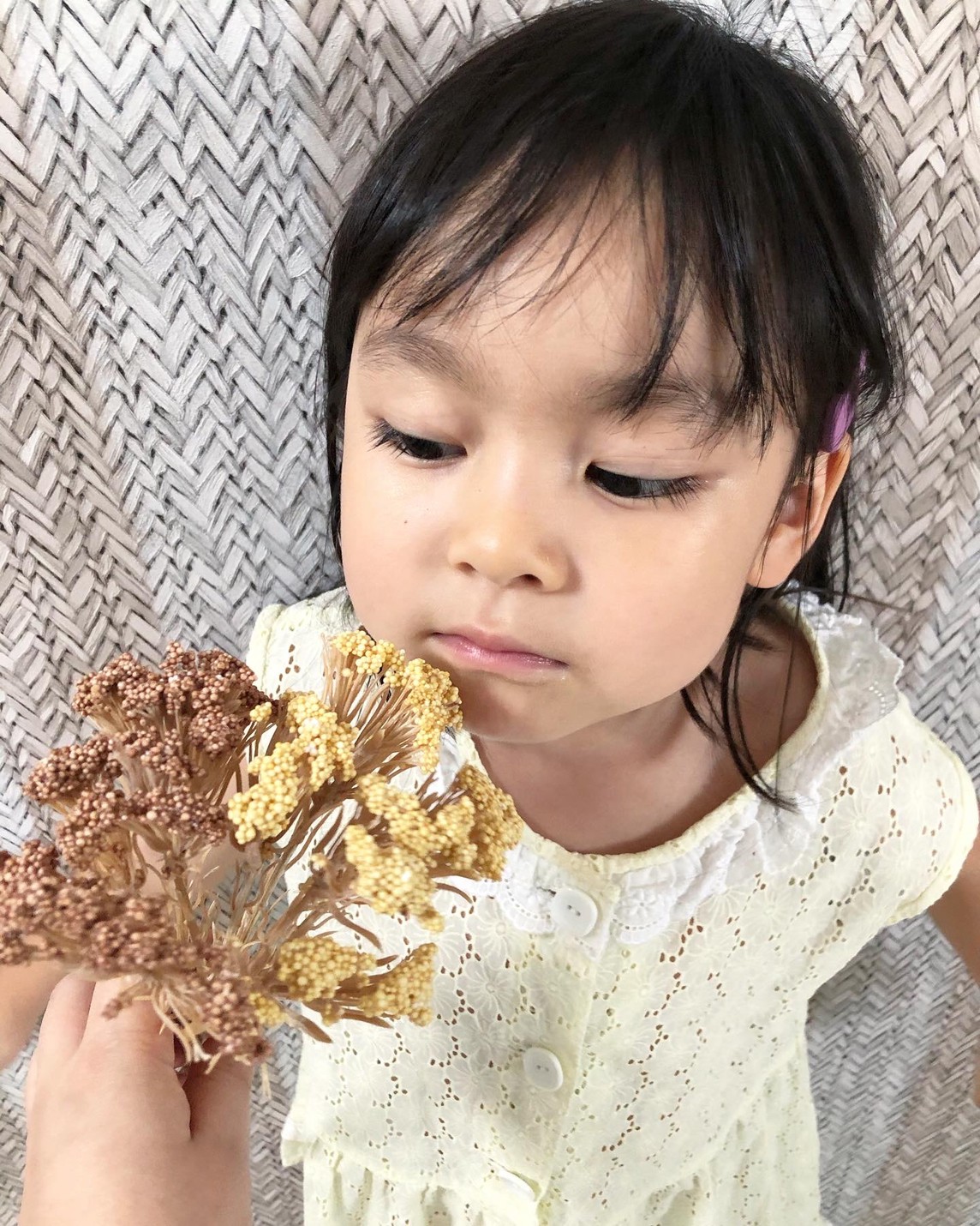 ライスフラワー