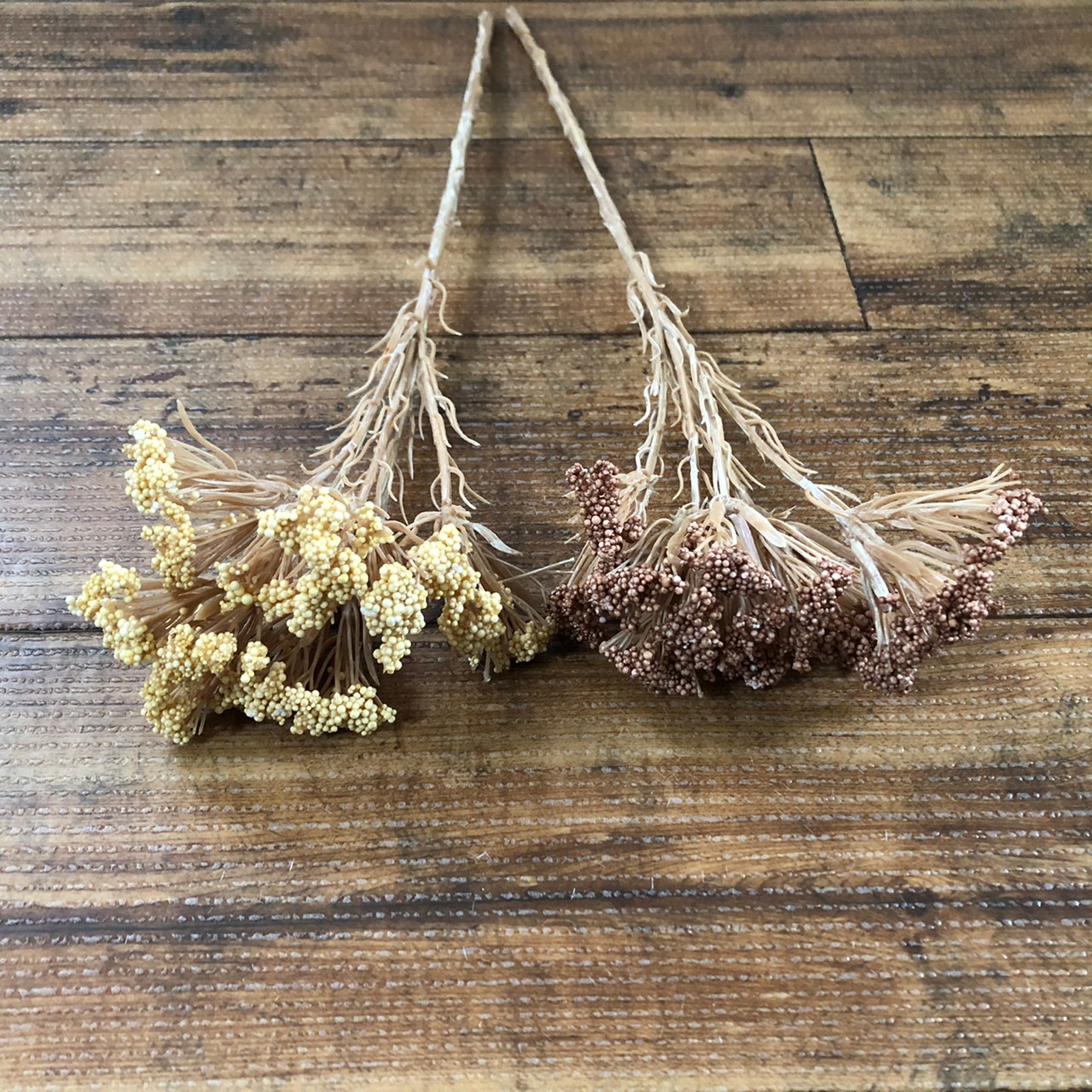 ライスフラワー